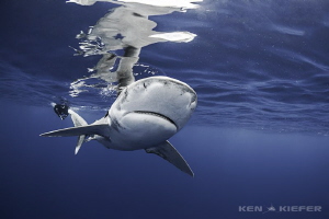 OWT by Ken Kiefer 